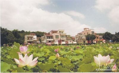 大涌镇青岗社区.