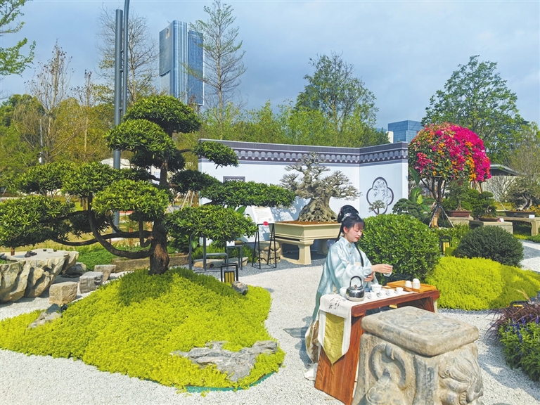  金奖！中山展园惊艳亮相2024年粤港澳大湾区花展